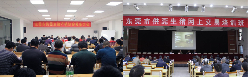 東莞市菜籃子,生豬網(wǎng)上交易,生豬網(wǎng)上交易及溯源平臺(tái)
